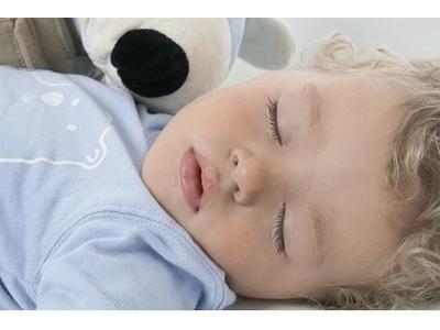 Delfinek-mimishop.cz