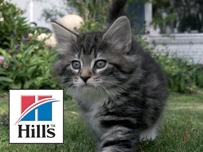 REFEREE RECODER foto 2