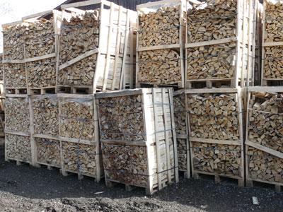 EUROPALIVO s.r.o. foto 3