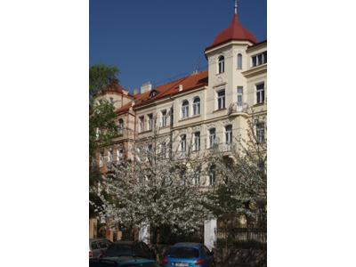 MVDr. Alexandr Skácel foto 2