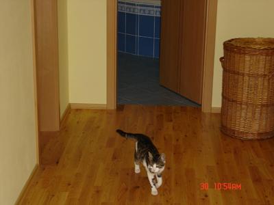 SUMI SERVIS, s.r.o. foto 2