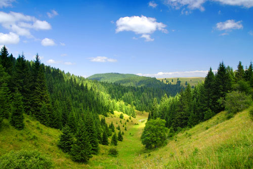 pro-zdraví.net foto 2