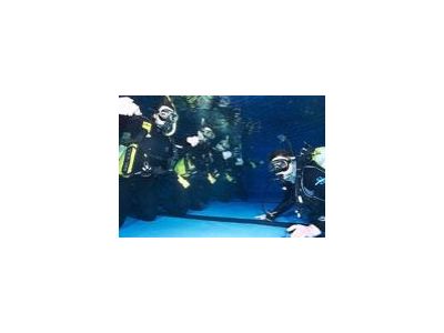 Octopus divers s.r.o. foto 5