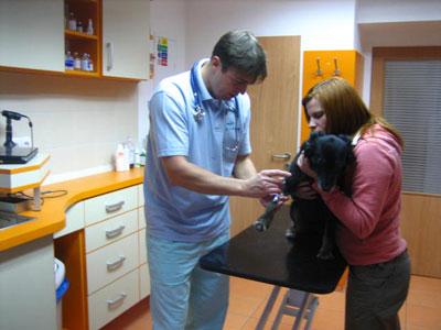 Veterinární ordinace Palackého foto 4