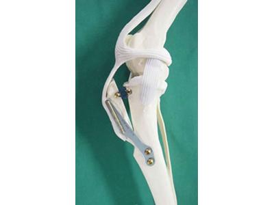 Veterinární klinika Mi-Vet foto 4