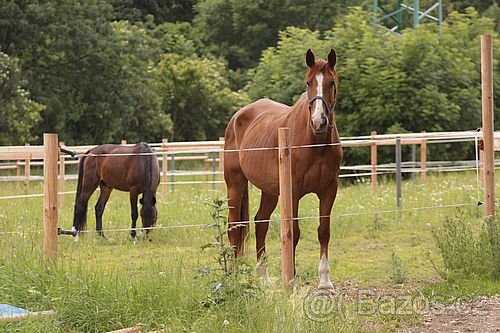 Farma Hrádek foto 3