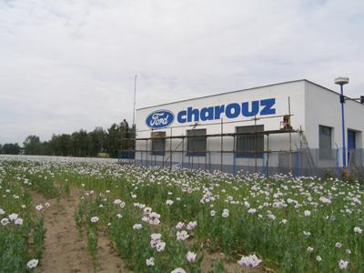 Písmomalíř Boháč foto 2