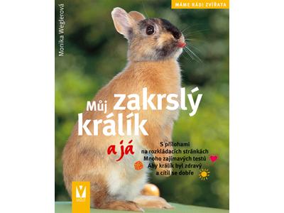 VAŠUT foto 2