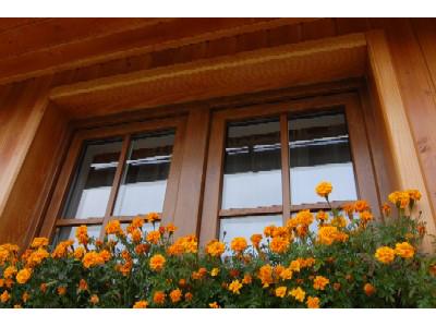 Stavona, spol. s r.o. foto 3