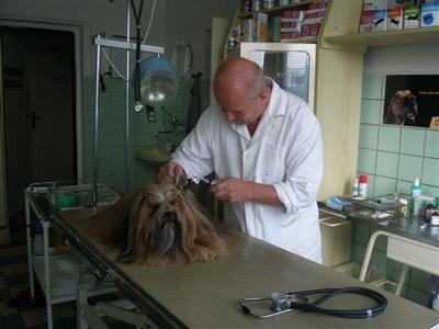 Veterina Kernal foto 4