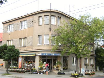 Daňový poradce ev. č. 2520 Ing. Irena Matiscsáková foto 2