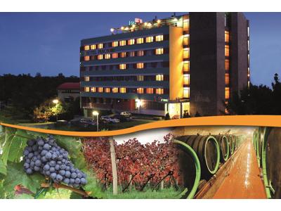 Hotel Panon foto 4