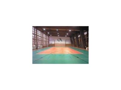 Schenk - sportovní povrchy, spol. s r.o. foto 4