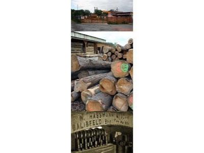 KOZOLUPSKÁ PILA foto 2