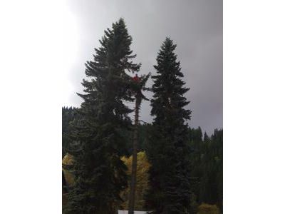 VP DUŠAN - VÝŠKOVÉ PRÁCE foto 3