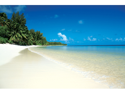 SNAIL TRAVEL INTERNATIONAL a.s. foto 2