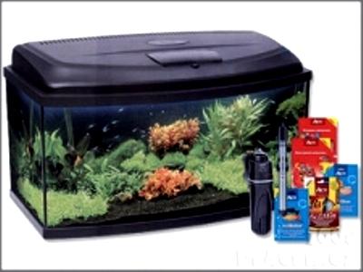 Zoo-market.cz foto 2