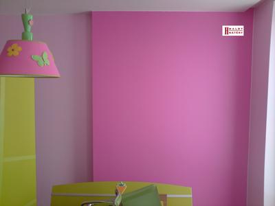 Jan Horný - Malíři pokojů foto 3