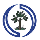 Diakonie husitská - STROM