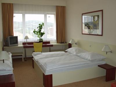Hotel Grand Litava