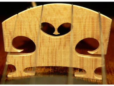 Daniel Berdych - houslařská dílna foto 4