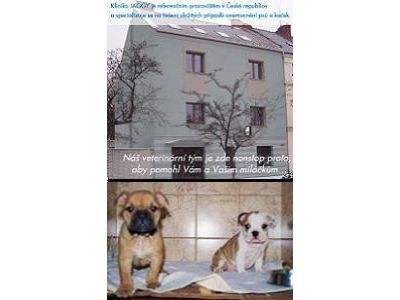 VETINO Jaggy Brno s.r.o. foto 2