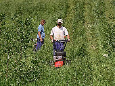 REKULTIVACE, a.s. foto 4