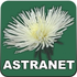 logo Astranet.cz