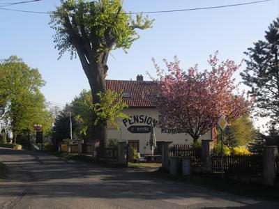 Pension U Rytíře foto 4