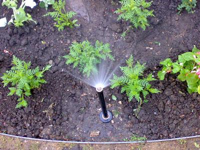 Zavlažovací systémy René Purkar foto 2