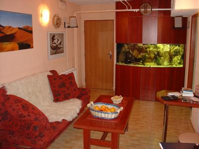 Česká tenisová škola foto 3