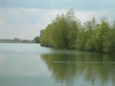 Těžební písková, s.r.o. foto 2