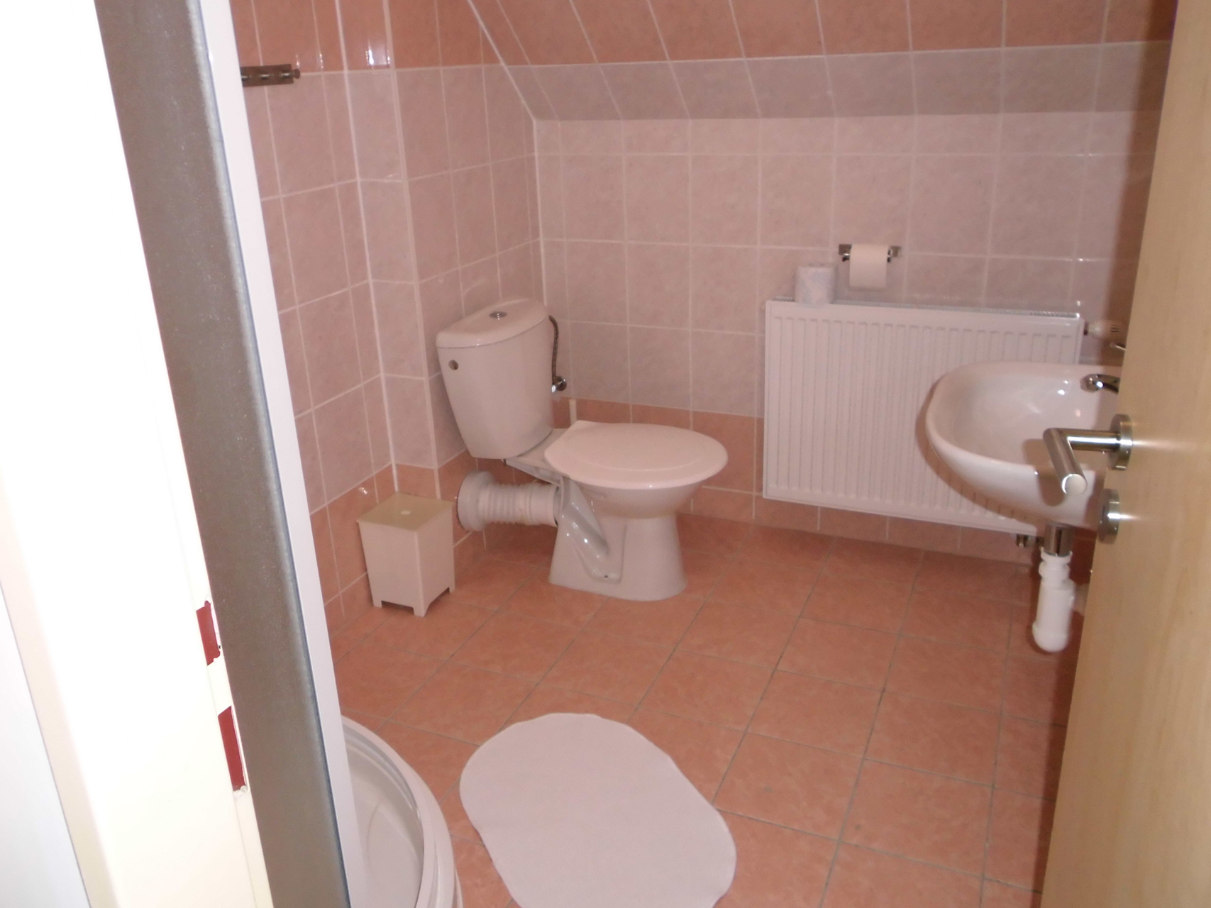 Chov koní Nebanice - ubytování penzion Nebanice foto 4