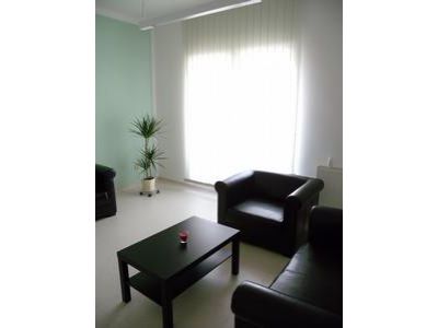 OlzaDent, s.r.o. foto 4