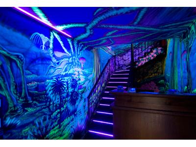 NIGHT CLUB 101 foto 1