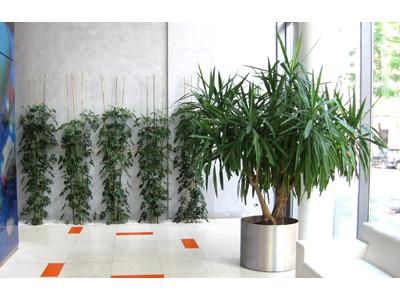 JUNGLE INTERIORS, s.r.o. foto 3