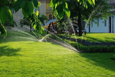 Jirmus - zahradnické služby foto 4