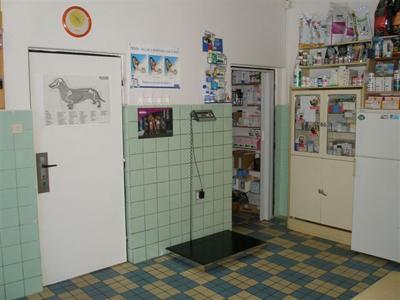 Veterina Kernal foto 3