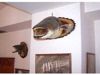 Apartmán Lipno foto 4