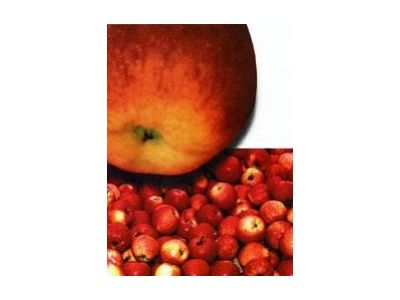 Sady Klášterec nad Ohří, spol. s r.o. foto 2