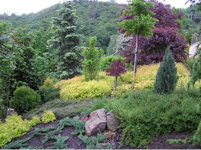 Zahradnické služby Knotek & Knotek foto 4