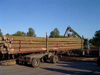 ROUBENKY - Pila Novotný Jilemnice foto 2