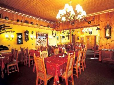 Hotel Lesní dům Janské Lázně foto 3