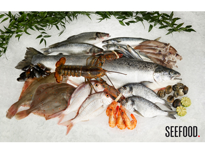 SEEFOOD, s.r.o. foto 2