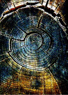 FOTOOBRAZY Monika foto 4