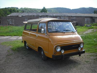 Ocelot Roman Jirouš foto 2