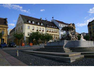 Hotel Česká Koruna foto 3