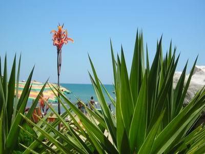 Sunny Travel, s.r.o. foto 3