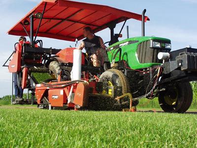 Trávníkové koberce AGRO CS foto 4