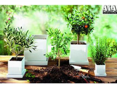 Fantazie - obchod s bytovými doplňky foto 3